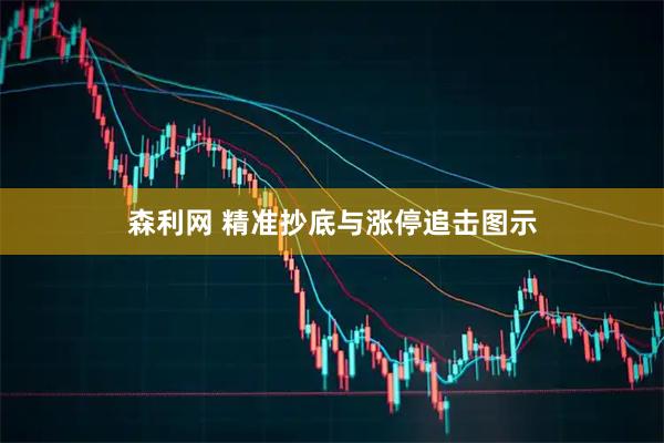 森利网 精准抄底与涨停追击图示