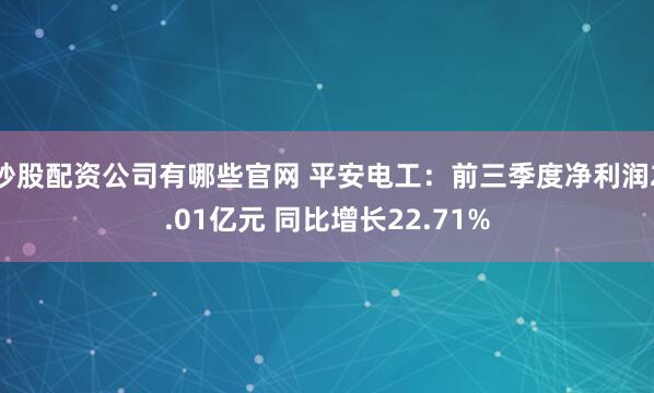炒股配资公司有哪些官网 平安电工：前三季度净利润2.01亿元 同比增长22.71%