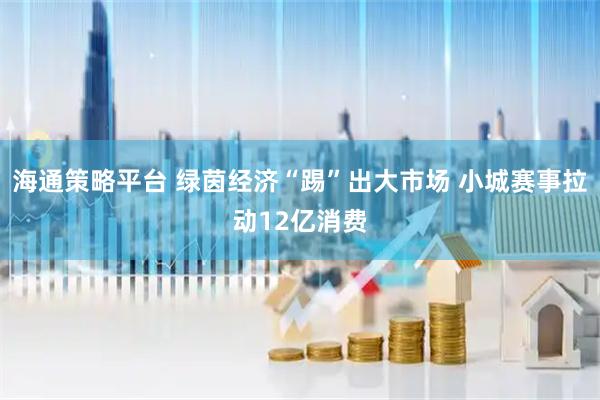 海通策略平台 绿茵经济“踢”出大市场 小城赛事拉动12亿消费
