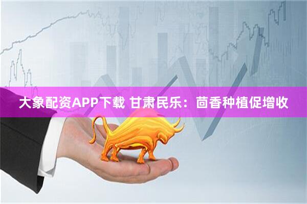 大象配资APP下载 甘肃民乐：茴香种植促增收
