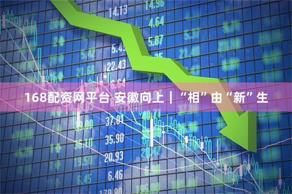 168配资网平台 安徽向上｜“相”由“新”生