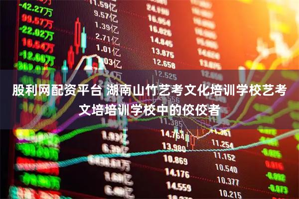 股利网配资平台 湖南山竹艺考文化培训学校艺考文培培训学校中的佼佼者