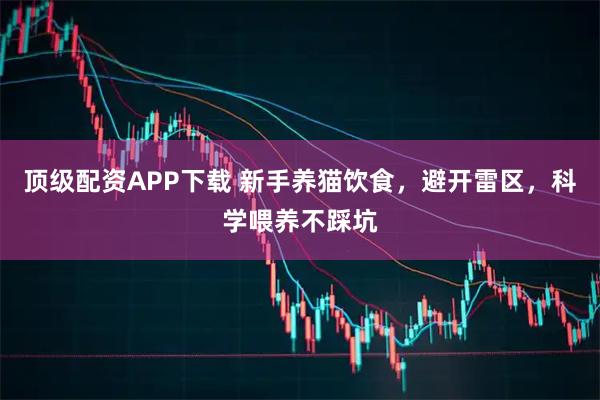 顶级配资APP下载 新手养猫饮食，避开雷区，科学喂养不踩坑